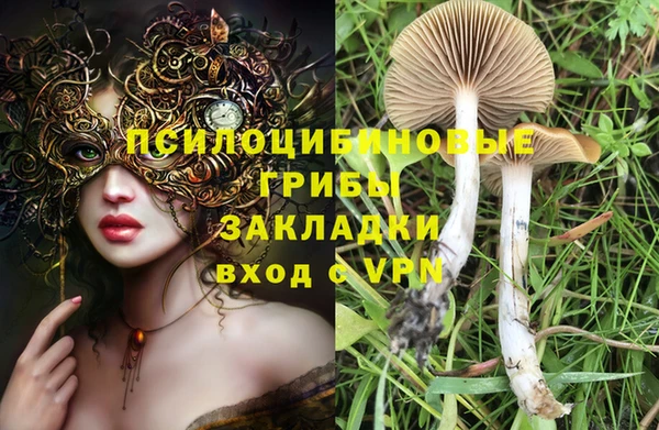 a pvp Покров