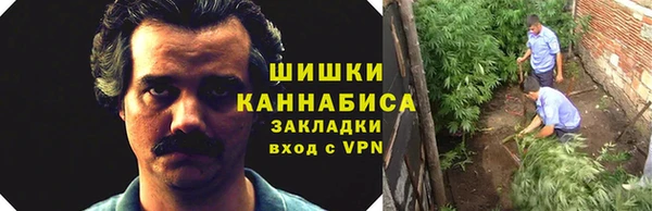 индика Покачи