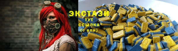 индика Покачи