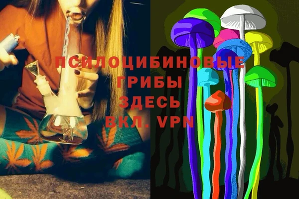 индика Покачи