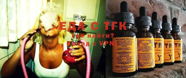 индика Покачи