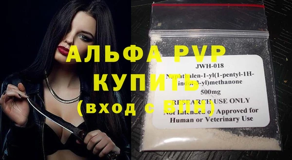 индика Покачи