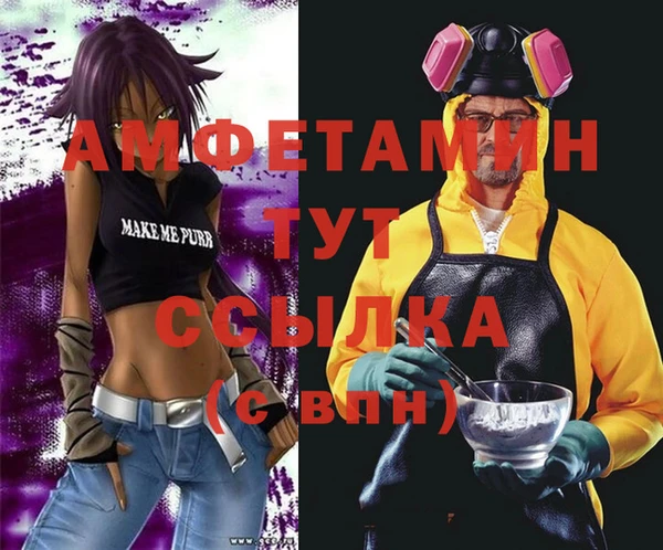 индика Покачи