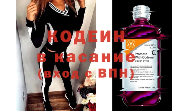 индика Покачи