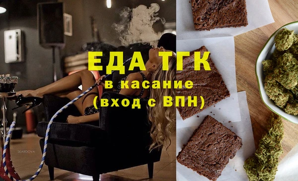 индика Покачи