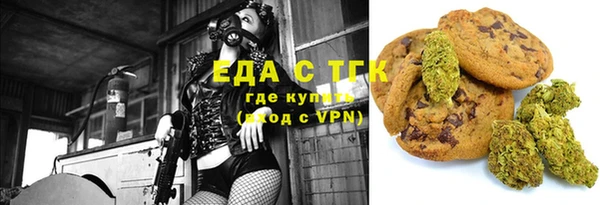 индика Покачи